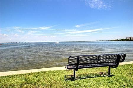 Tampa bay
