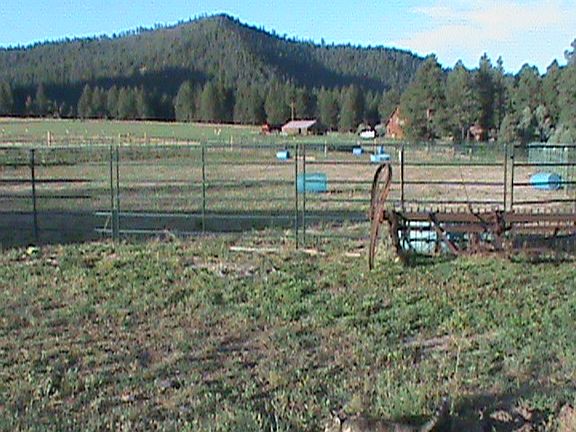 Arena and round pen