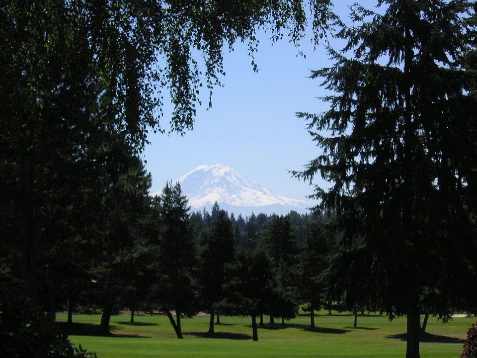 Mt. Rainier View