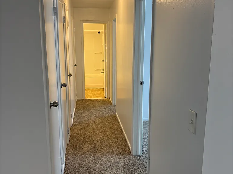 121 W William St #201 — Photo 5