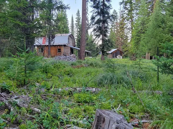 175 W Buffalo Gulch Rd, Elk City, ID 83525