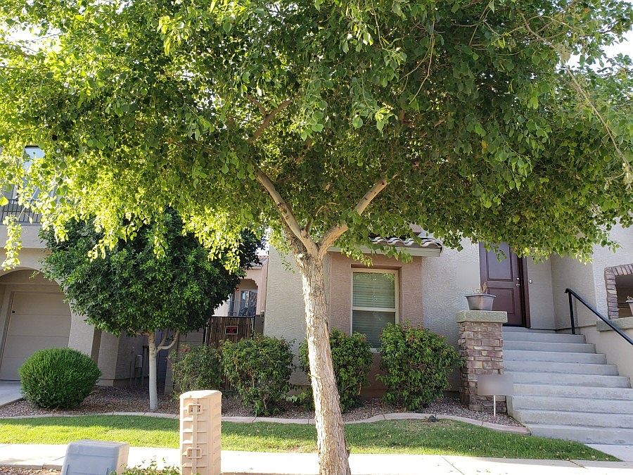 2nd image of 7714 W Palm Ln