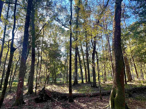 3rd image of Tbd Greenwell Springs Rd
