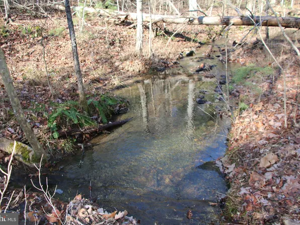 Ramsey Rd, Fort Valley, VA 22652