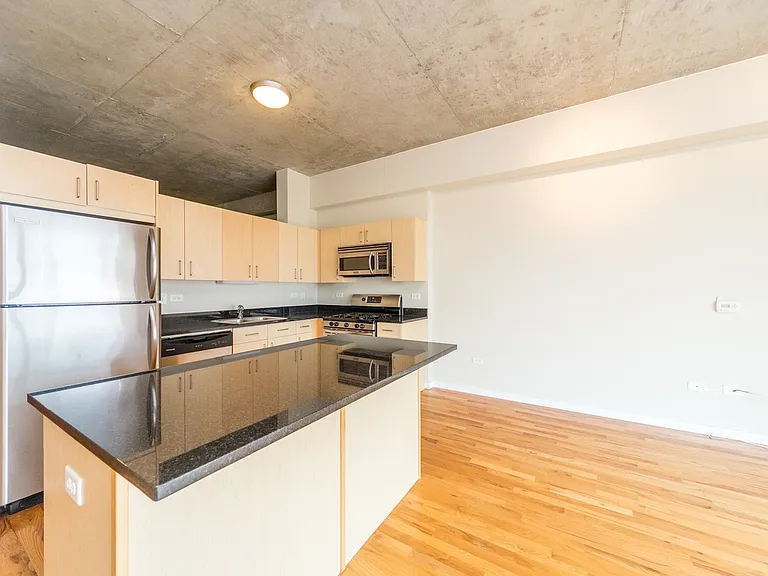 1620 S Michigan Ave #812 — Photo 5