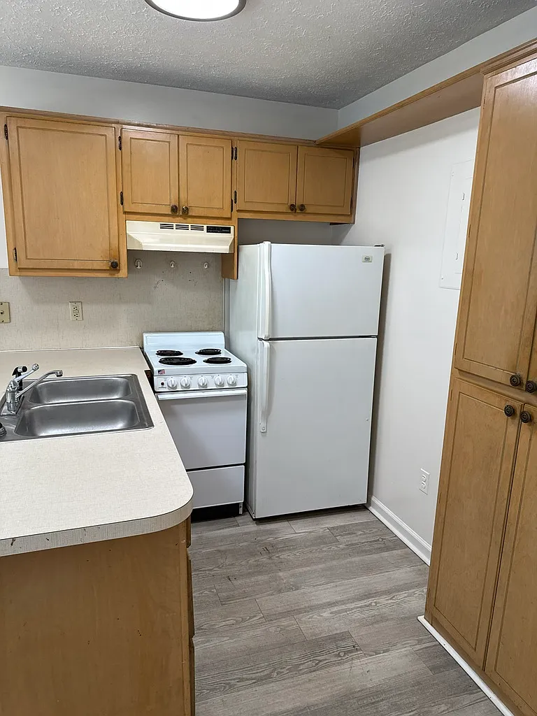 1 bed, $800 — Photo 2