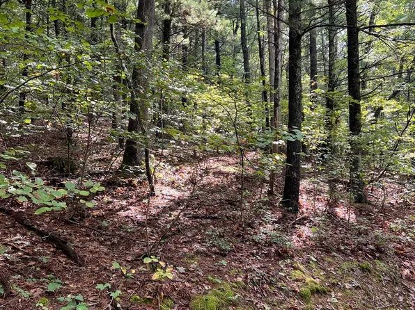 Somers Ln, Berkeley Springs, WV 25411