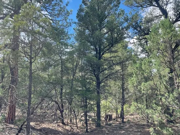 64 Nightingale Ln, Tijeras, NM 87059