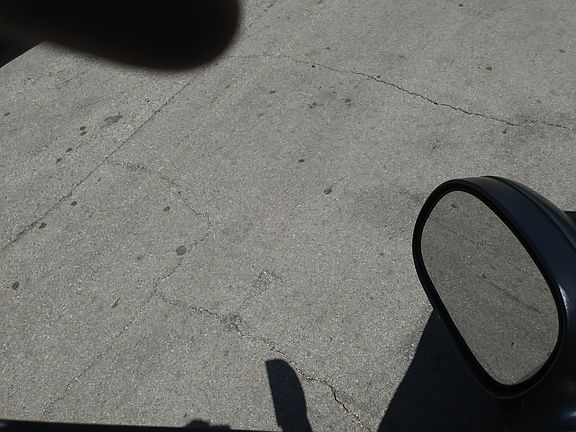 4th image of 1404 Elmwood Ave