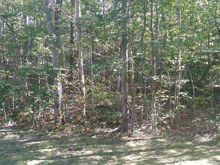 61 Briarwood Ln #F — Photo 8