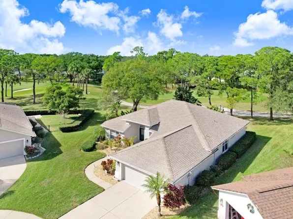 5302 Waterleaf Ct, Valrico, FL 33596