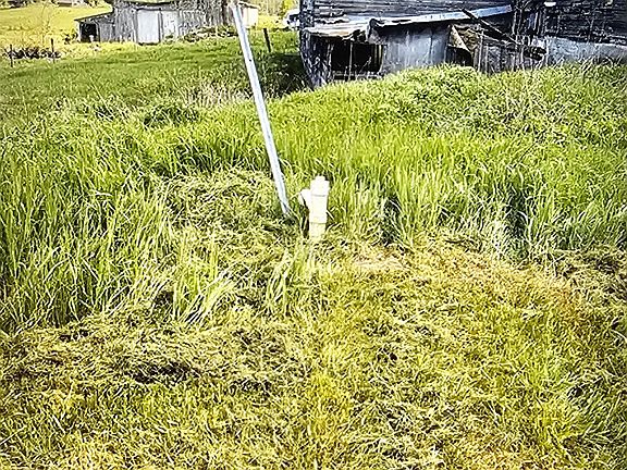 4th image of 180 Puckerville Rd