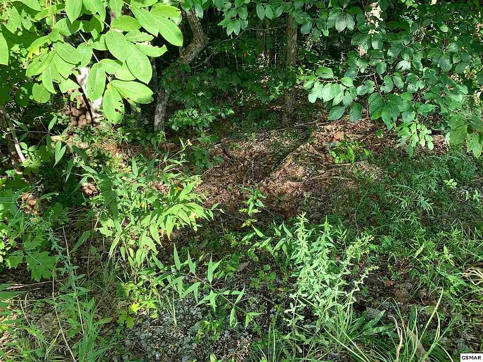 2nd image of 1 Chamberlain Ln Lot 1