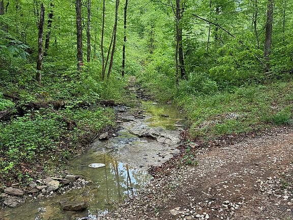 4th image of 217 Ralph Troxell Rd