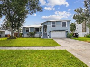 317 Shore Dr E, Oldsmar, FL 34677