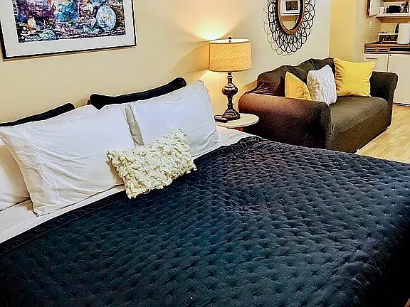 Studio, 600 sqft, $1,350 — Photo 3