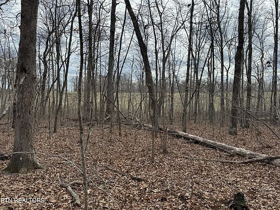 2nd image of 1261 Roanoke Rd