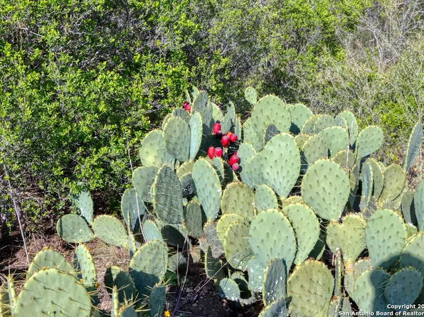 00 Utopia Forest LOT 4, Dhanis, TX 78850