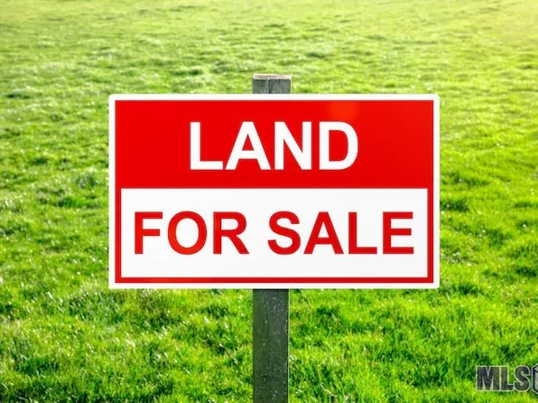 20245 Palmer Rd, Livingston, LA 70754