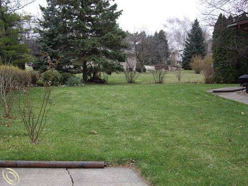 3rd image of 5565 Falmouth Dr