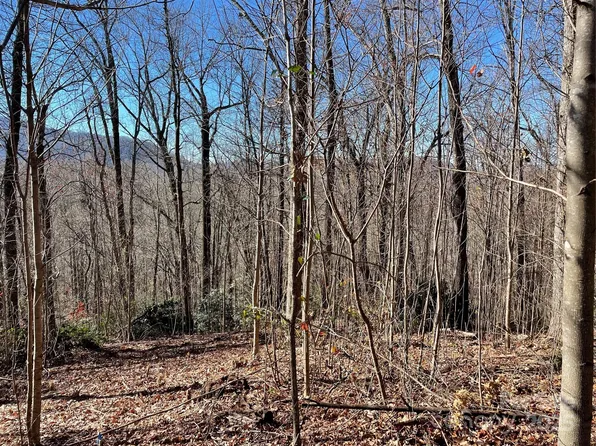 9999-1 Nesbitt Chapel Rd, Fairview, NC 28730