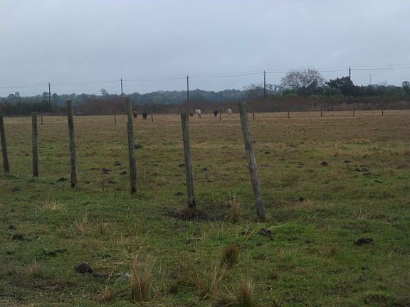 3rd image of 7120 County Road 13 S