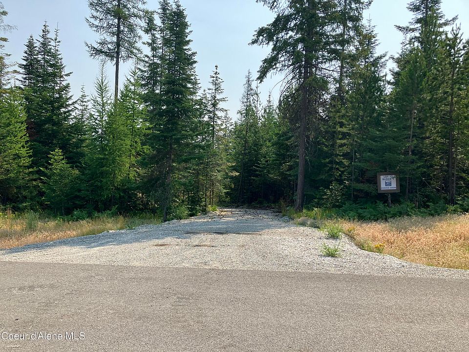 1st image of Lt13b1 Leonard Loop