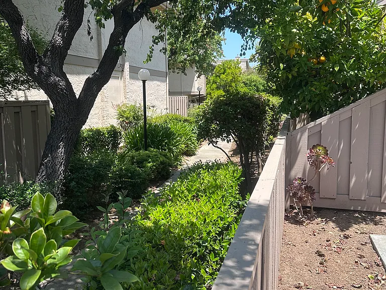 20615 Mapletree Pl — Photo 20