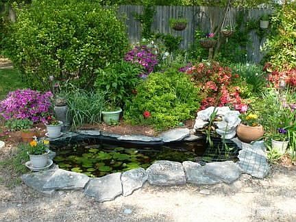 The koi and goldfish pond
						:
						Shaded in the morning and evening, relax watching the koi & goldfish swim around