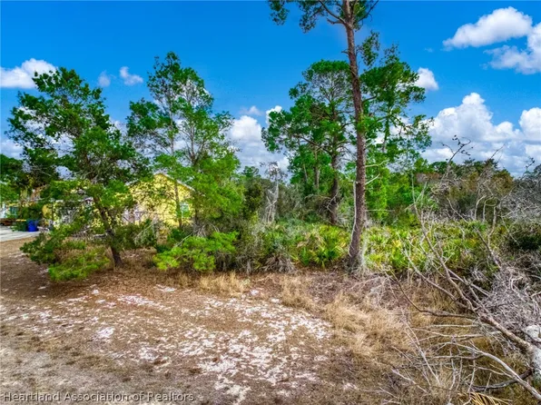 3085 W Scoralick Rd, Avon Park, FL 33825