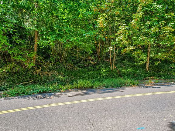 3rd image of SW Fairview Blvd