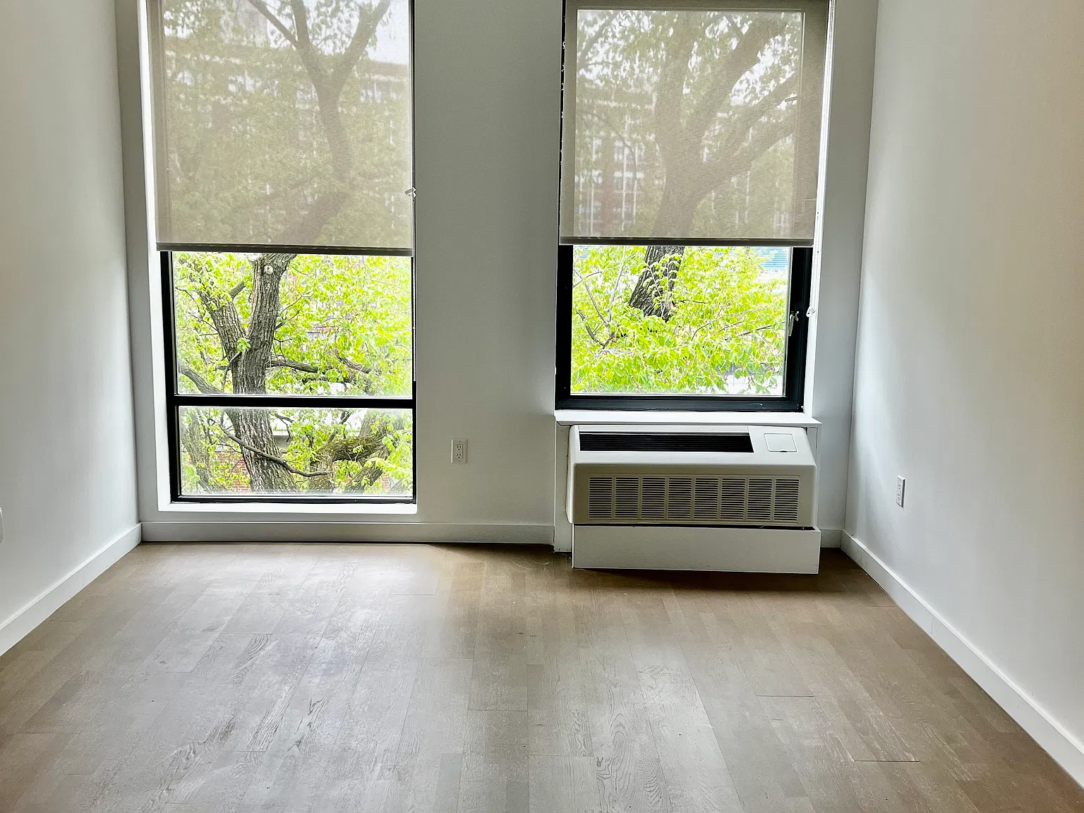 33-01 38th Avenue — Photo 2