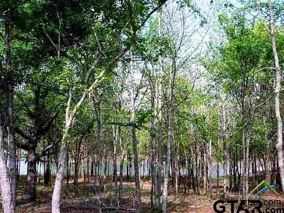 3rd image of LOT 4 Private Road 5291