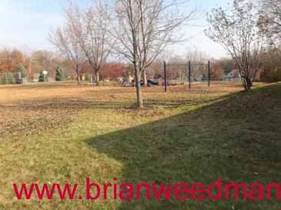 Large outdoor area on property