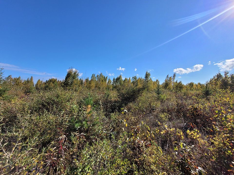 451 Highway, Rogers City, MI 49779 Zillow