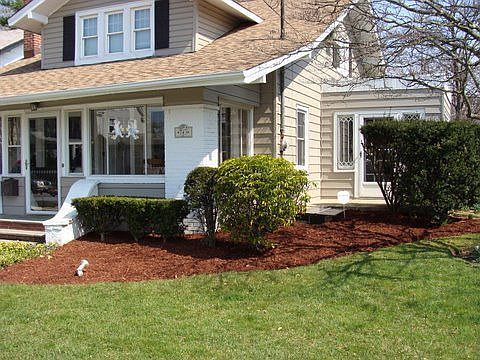 Front Yard