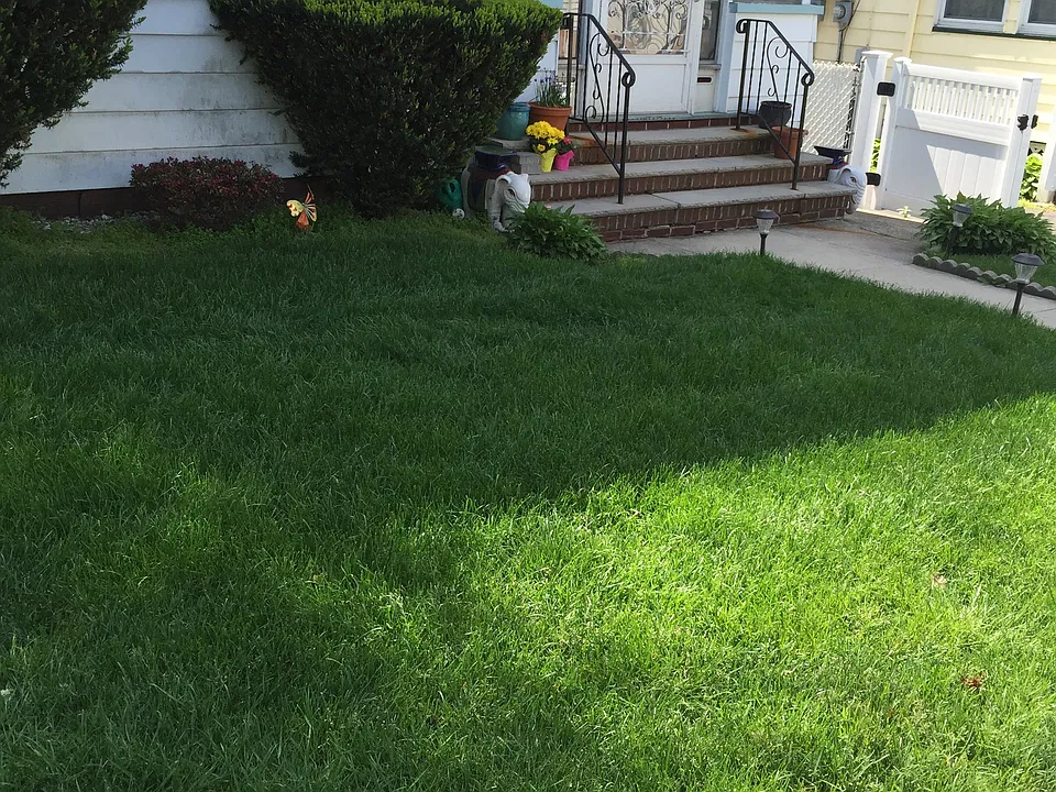 Front Lawn