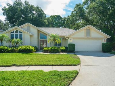 2829 Spring Oak Ct, Palm Harbor, FL, 34684