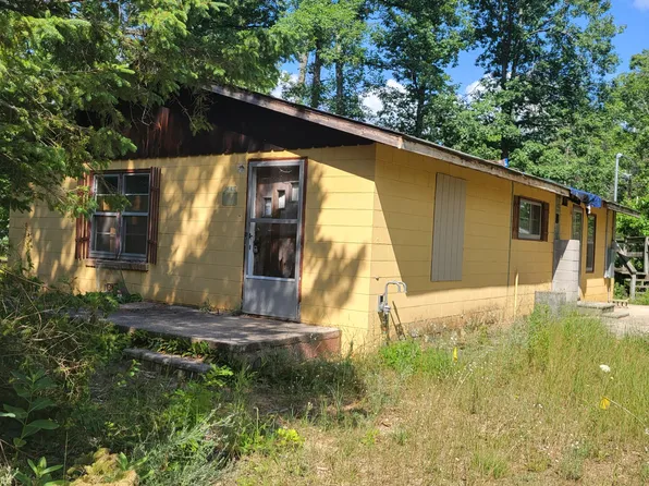 6704 S Sincerity Ave, Baldwin, MI 49304