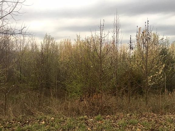 5th image of 9991 County Road 8270