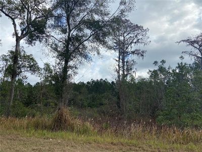 Belaire Paper Ave #33, Deltona, FL, 32725