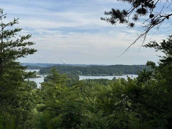 0 Piney Point Rd, Spring City, TN 37381