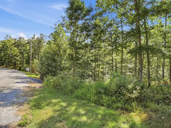 845 Ridgewood Dr Lot 17, Mc Ewen, TN 37101
