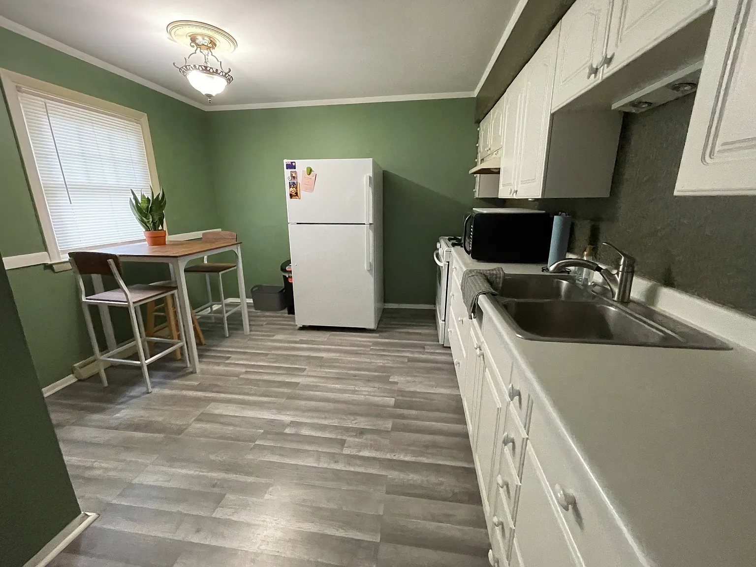 1 bdrm/1 bath lower — Photo 3
