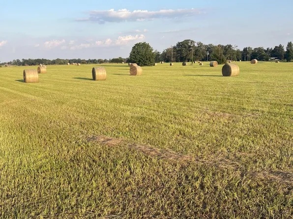 0 County Road 13, Clanton, AL 35045