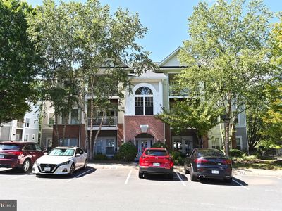 1516 N Point Dr APT 303, Reston, VA, 20194