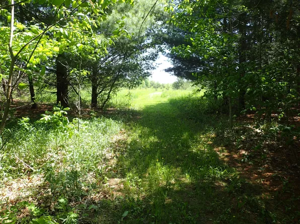 Xxx636 Blackwood Ave, Monticello, MN 55362