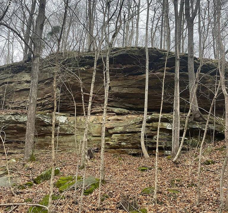 2nd image of 582 Christopher Ln