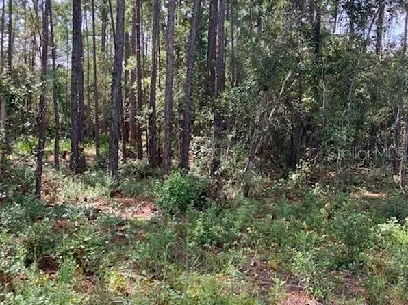 4515 MAHOGANY BOULEVARD LOT 3, BUNNELL, FL 32110
