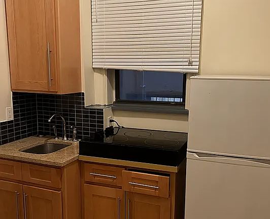 3rd image of 213 E 118th St Floor 1F